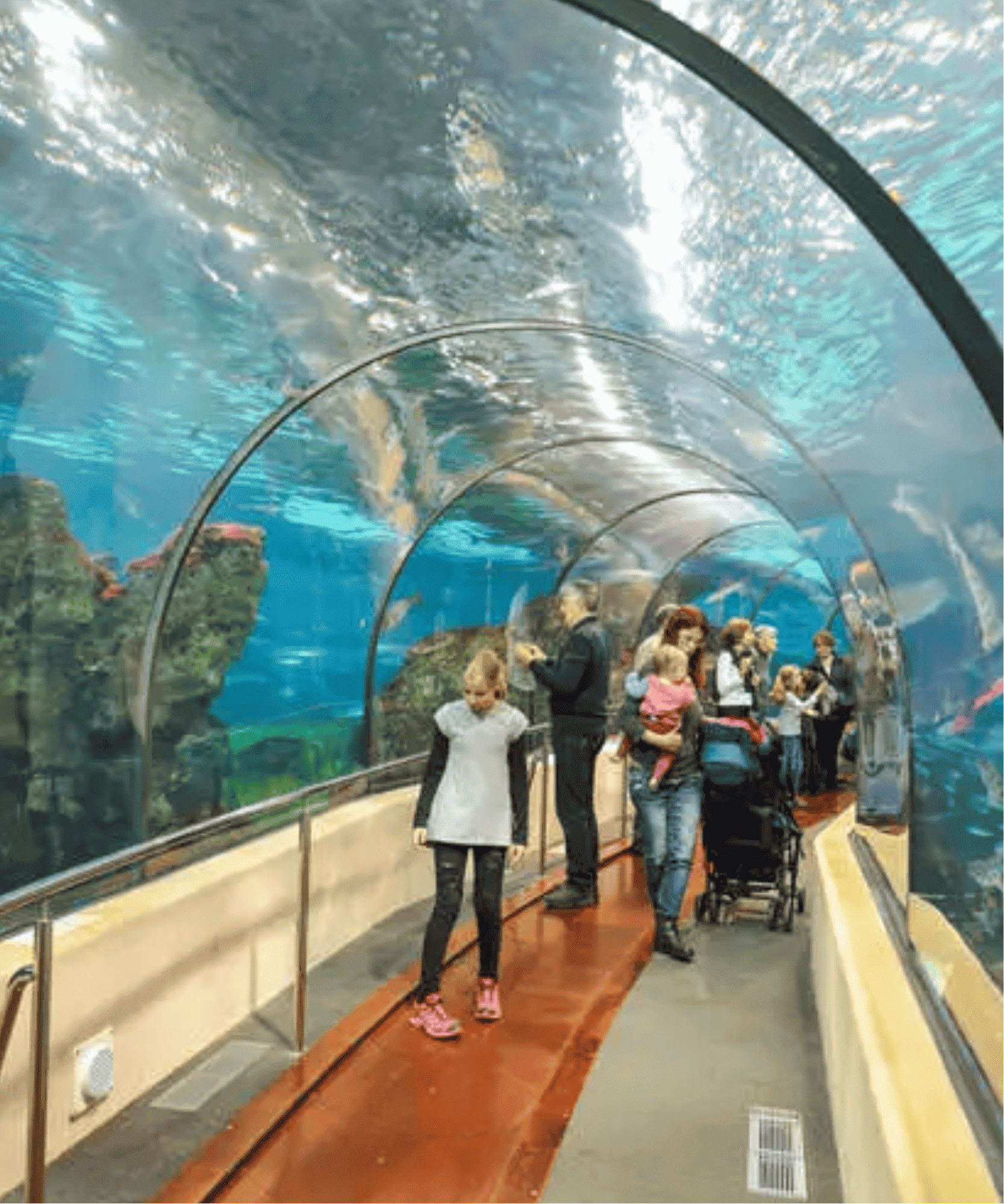 Aquarium, Barcelona