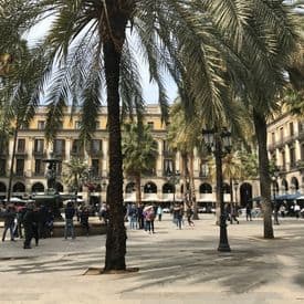 Placa Reial Barcelona 